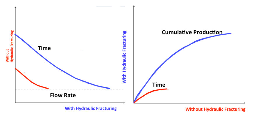 Petroleum Geochemistry Consulting