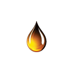 Petroleum Geochemistry Consulting
