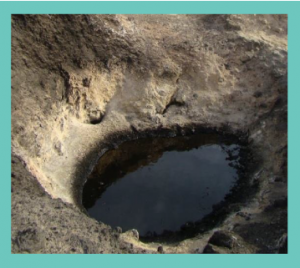 Petroleum Geochemistry Consulting