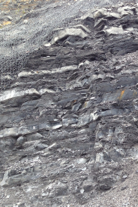 Petroleum Geochemistry Consulting