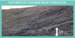 Petroleum Geochemistry Consulting