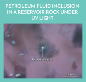 Petroleum Geochemistry Consulting